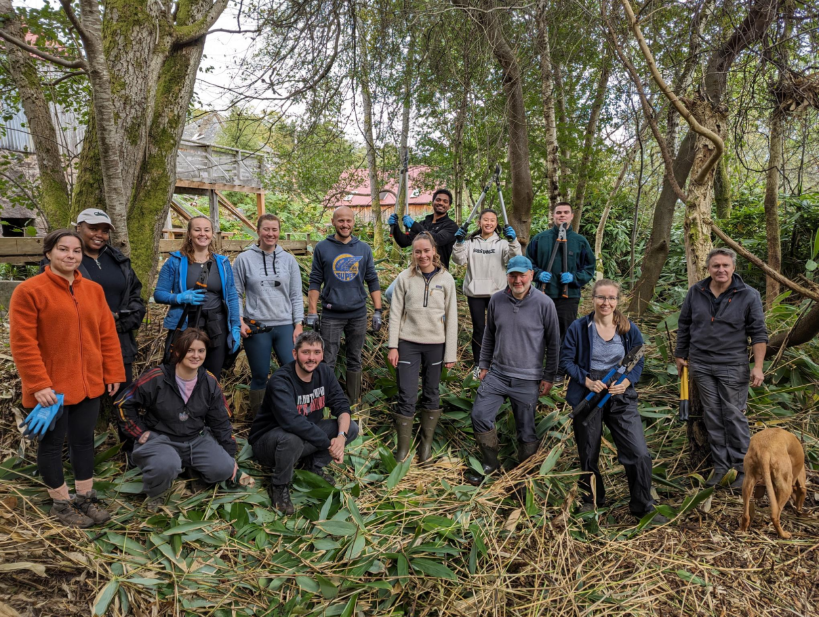 Goal7 volunteering day at Birse - bamboo cutting